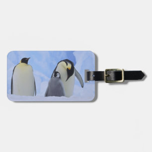 Antarctica. Emperor penguins and chick Luggage Tag