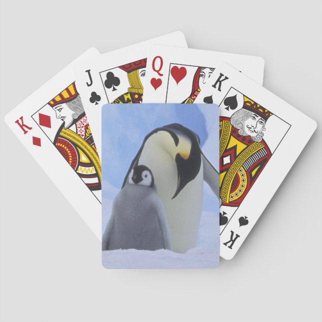 Antarctica. Emperor penguins and chick Playing Cards (Back)