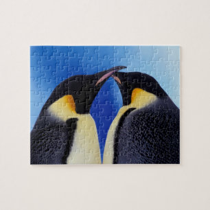Antarctica, Emperor Penguins Jigsaw Puzzle