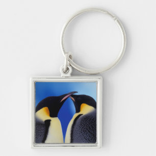 Antarctica, Emperor Penguins Keychain