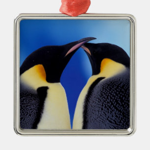 Antarctica, Emperor Penguins Metal Ornament