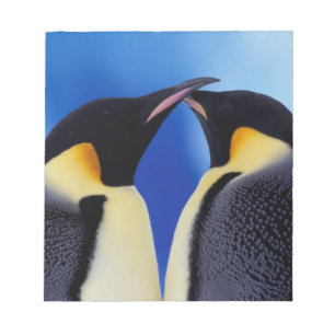 Antarctica, Emperor Penguins Notepad