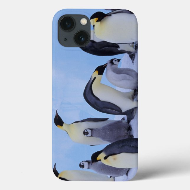 Antarctica, Emporer Penguin ((Aptenodytes Case-Mate iPhone Case (Back)