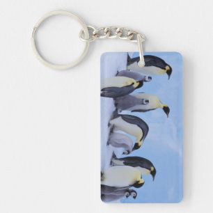 Antarctica, Emporer Penguins Keychain
