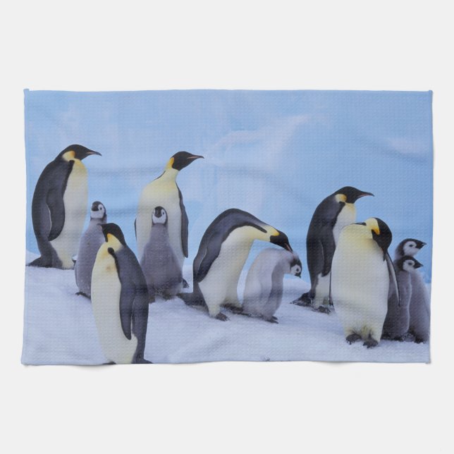 Antarctica, Emporer Penguins Kitchen Towel (Horizontal)