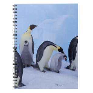Antarctica, Emporer Penguins Notebook