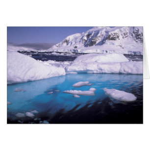 Antarctica. Expedition through icescapes 2