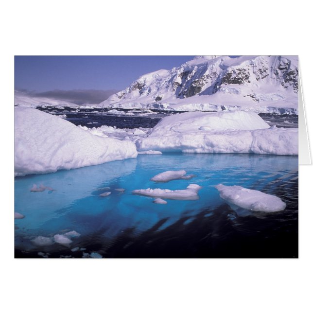 Antarctica. Expedition through icescapes 2 (Front Horizontal)