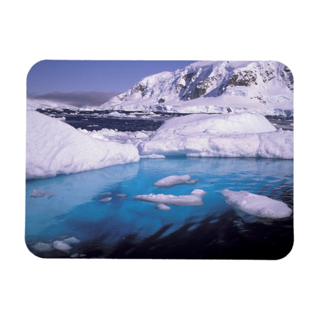 Antarctica. Expedition through icescapes 2 Magnet (Horizontal)