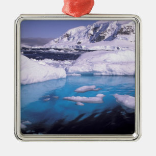 Antarctica. Expedition through icescapes 2 Metal Ornament