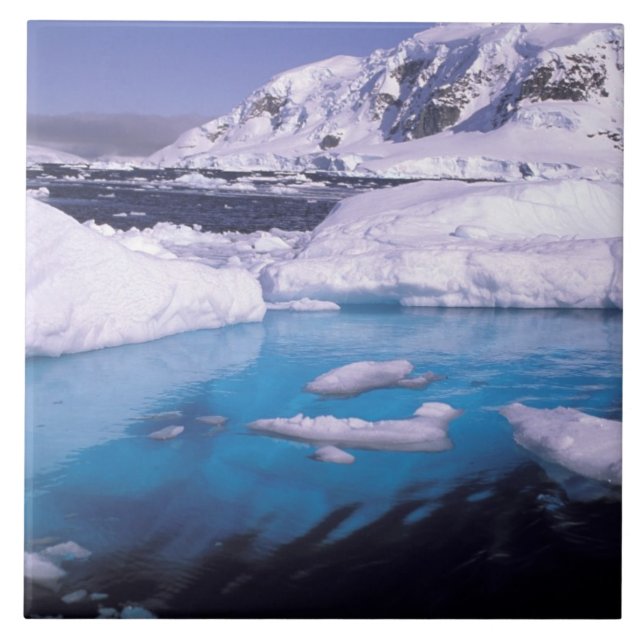 Antarctica. Expedition through icescapes 2 Tile (Front)