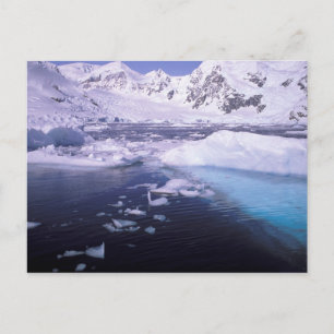 Antarctica. Expedition through icescapes Postcard
