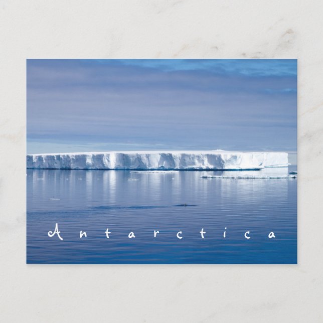 Antarctica iceberg landscape photo with white text postcard (Front)