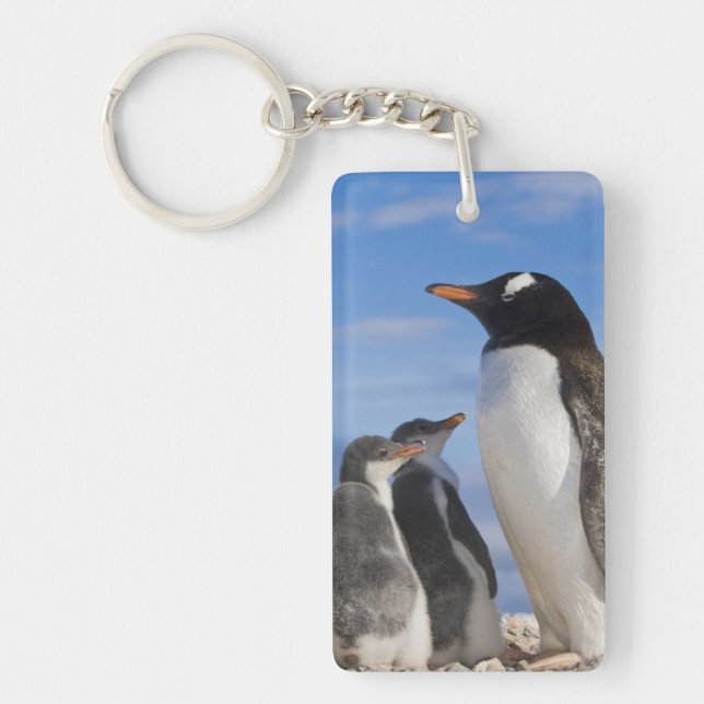 Antarctica, Neko Cove (Harbour). Gentoo penguin 2 Keychain (Front)