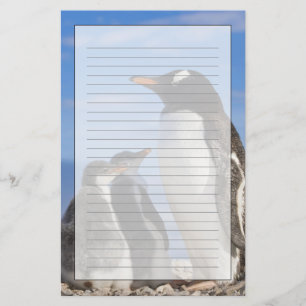 Antarctica, Neko Cove (Harbour). Gentoo penguin 2 Stationery