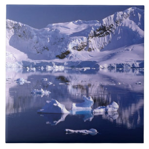 Antarctica, Paradise Bay Tile