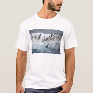 Antarctica, Paulet Island. Adelie penguins T-Shirt