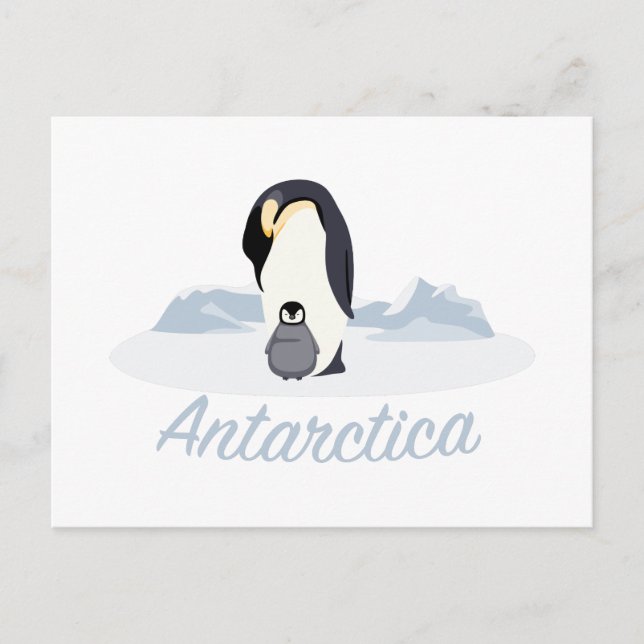 Antarctica Penguins Postcard (Front)