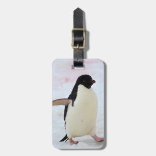 Antarctica. Petermann Island. Adelie penguin Luggage Tag