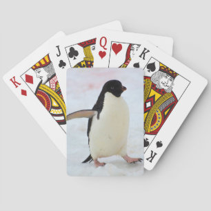 Antarctica. Petermann Island. Adelie penguin Playing Cards