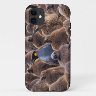 Antarctica, South Georgia Island, King penguins iPhone 11 Case