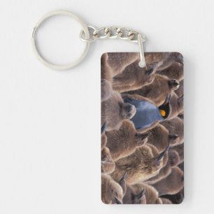 Antarctica, South Georgia Island, King penguins Keychain