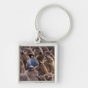 Antarctica, South Georgia Island, King penguins Keychain