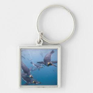 Antarctica, South Georgia Island (UK), 2 Keychain