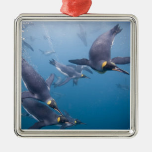 Antarctica, South Georgia Island (UK), 2 Metal Ornament