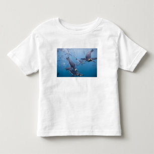 Antarctica, South Georgia Island (UK), 2 Toddler T-shirt
