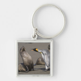 Antarctica, South Georgia Island (UK), King 3 Keychain