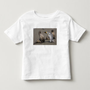Antarctica, South Georgia Island (UK), King 3 Toddler T-shirt