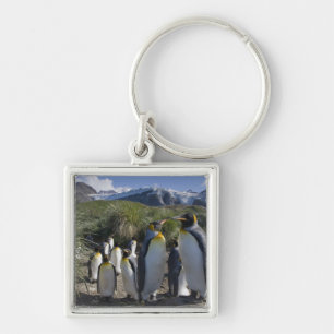 Antarctica, South Georgia Island UK), King Keychain