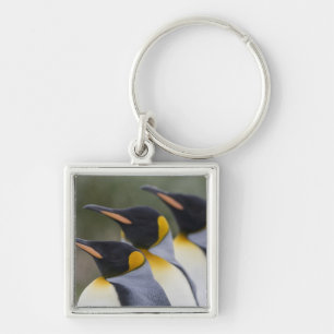 Antarctica, South Georgia Island UK), King Keychain