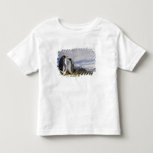 Antarctica, South Georgia Island UK), King Toddler T-shirt