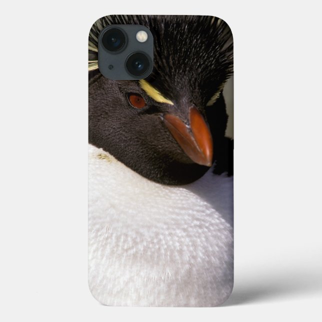 Antarctica, Sub-Antarctic Islands, South 5 Case-Mate iPhone Case (Back)