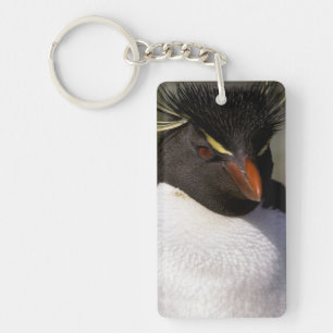 Antarctica, Sub-Antarctic Islands, South 5 Keychain