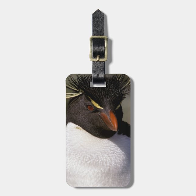 Antarctica, Sub-Antarctic Islands, South 5 Luggage Tag (Front Vertical)