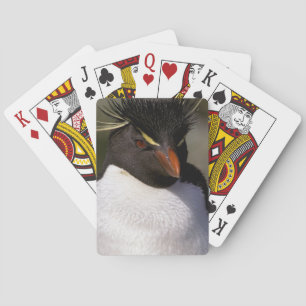 Antarctica, Sub-Antarctic Islands, South 5 Playing Cards
