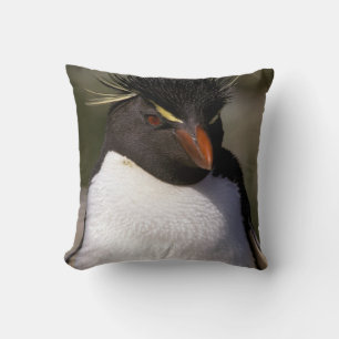 Antarctica, Sub-Antarctic Islands, South 5 Throw Pillow