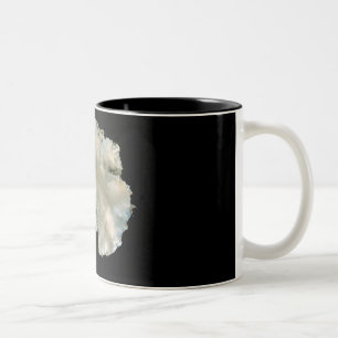 Antarctica Two-Tone Coffee Mug