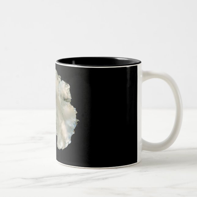 Antarctica Two-Tone Coffee Mug (Right)
