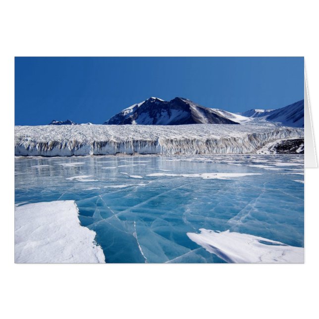 Antarctique (Devant horizontal)