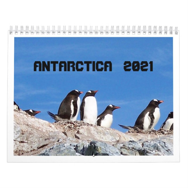Antarctique - Calendrier 2020 (Protection)