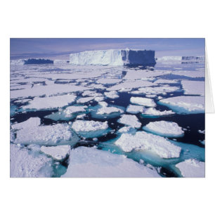 Antarctique, Écoulement de glace.