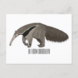 Anteater cartoon illustration postcard