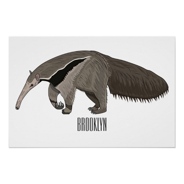 Anteater cartoon illustration  poster (Front)