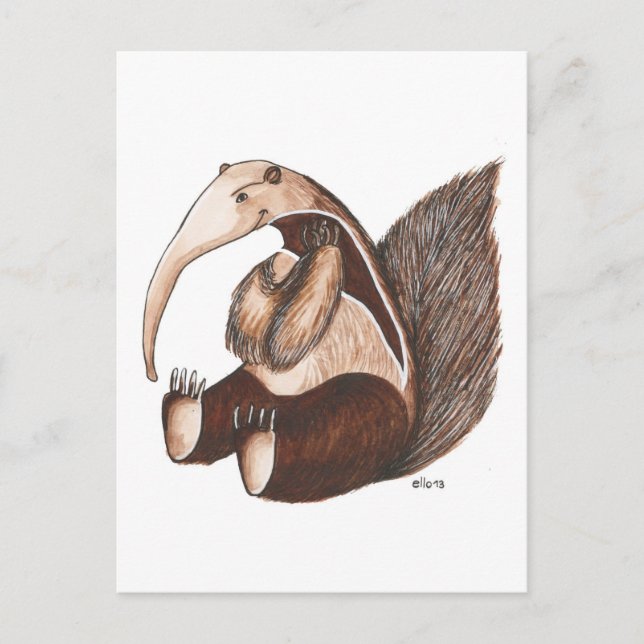 Anteater Postcard (Front)