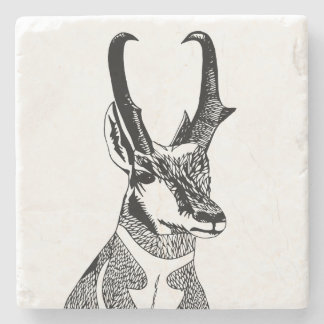 Antelope Coaster