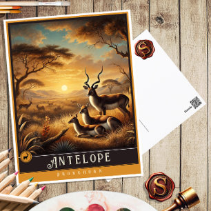 Antelope   Cute Family Vintage Animal Postcard